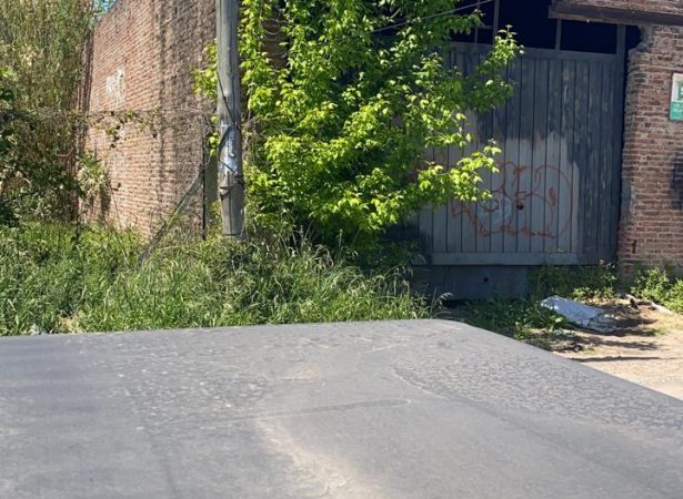 Gallery Thumbnail 0