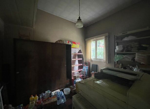Gallery Thumbnail 11