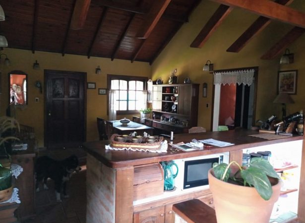 Gallery Thumbnail 9