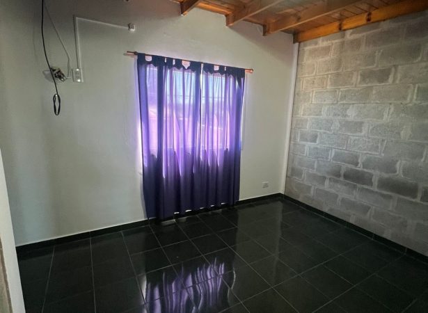 Gallery Thumbnail 11