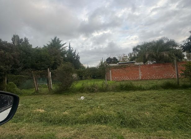 Perez Propiedades